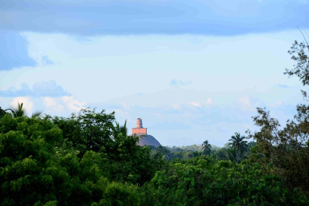 Sacred City Tourist Resort Anuradhapura Exteriör bild