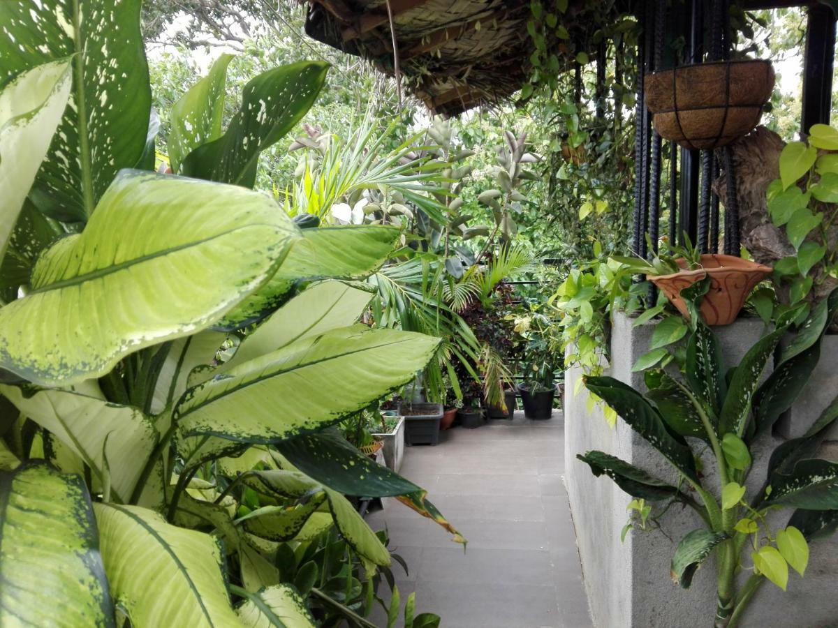 Sacred City Tourist Resort Anuradhapura Exteriör bild